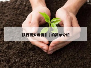 陕西西安疫情㊙️的简单介绍