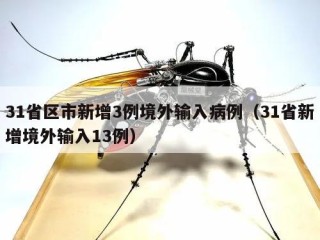 31省区市新增3例境外输入病例（31省新增境外输入13例）